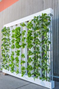 start your organic vertical farming