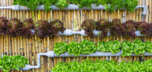 home organic vertical farming demo