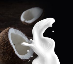 Coconut Milk Business with Low Investment